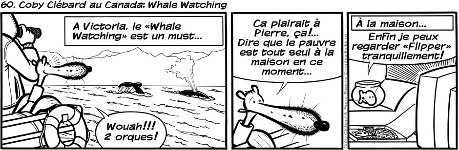 60. Coby Clébard au Canada: Whale Watching