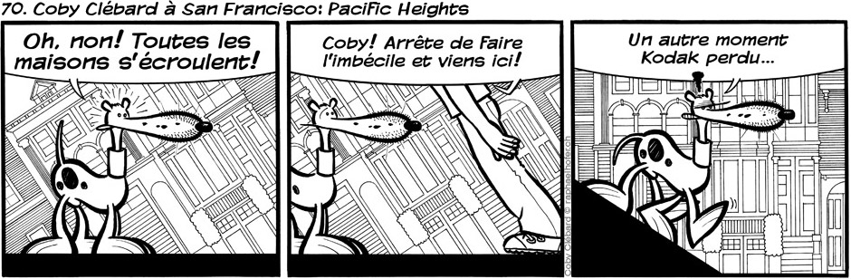 70. Coby Clébard à San Francisco: Pacific Heights
