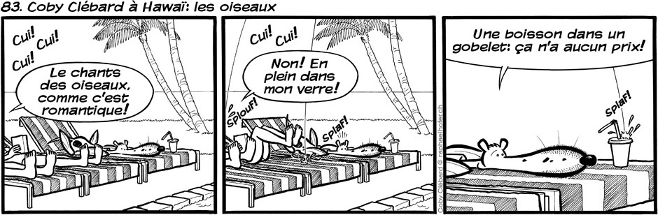 83. Coby Clébard à Hawaï: les oiseaux