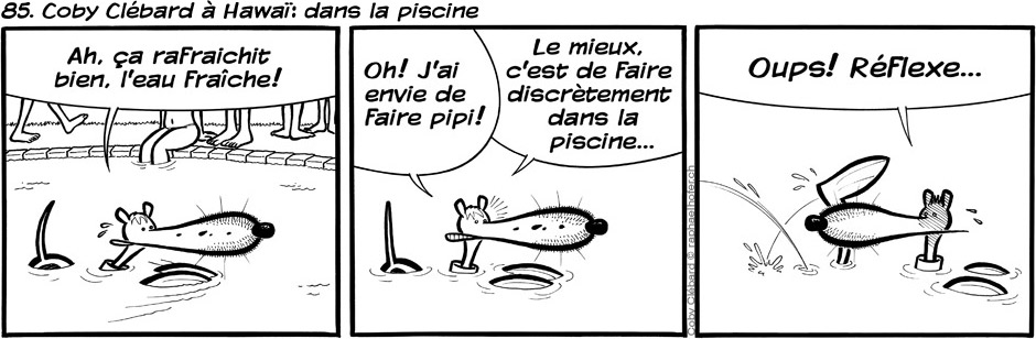 85. Coby Clébard à Hawaï: dans la piscine