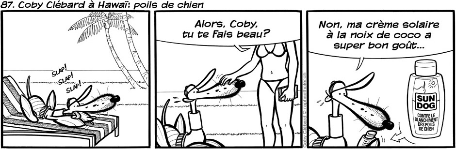 87. Coby Clébard à Hawaï: poils de chien