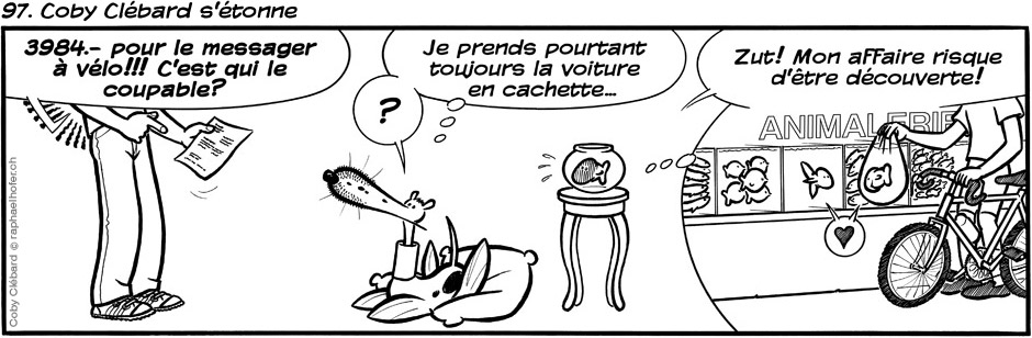 97. Coby Clébard s'étonne