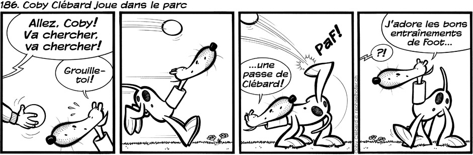 186. Coby Clébard joue dans le parc