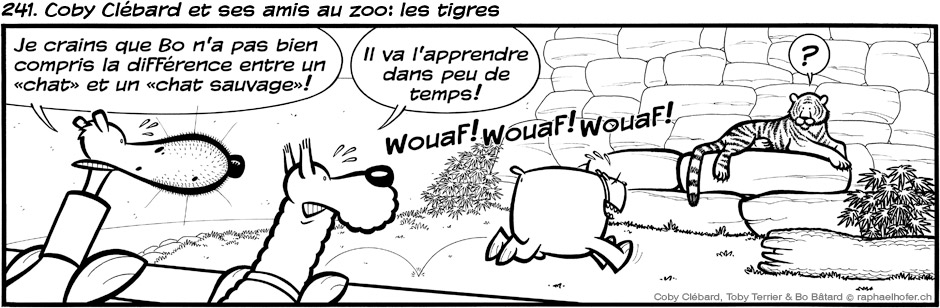 241. Coby Clébard et ses amis au zoo: les tigres