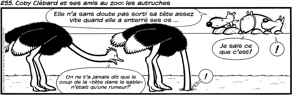 255. Coby Clébard et ses amis au zoo: les autruches