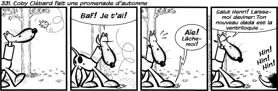331. Coby Clébard fait une promenade d'automne