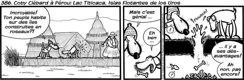 386. Coby Clébard à Pérou : Lac Titicaca, Islas Flotantes de los Uros 