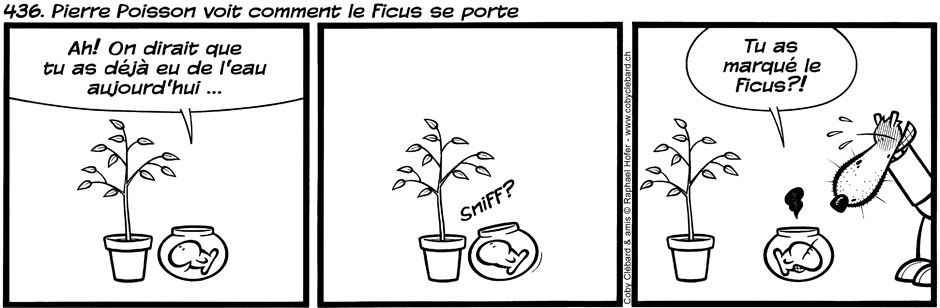 436. Pierre Poisson voit comment le ficus se porte