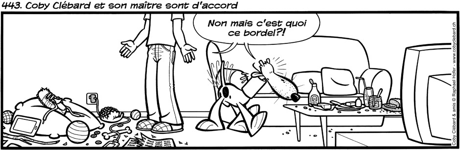 443. Coby Clébard et son maître sont d'accord