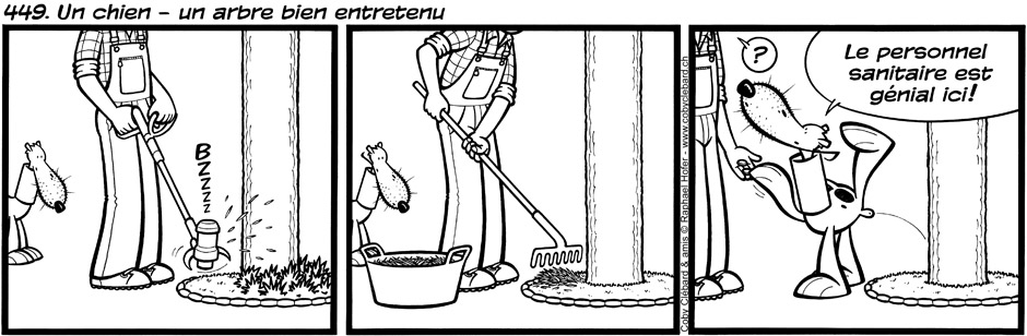 449. Un chien - un arbre bien entretenu